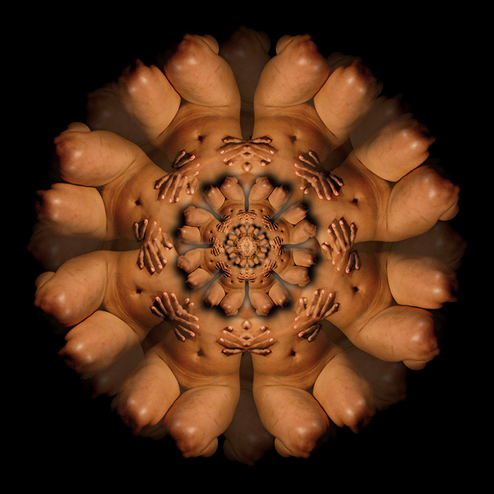 Human-Geometries