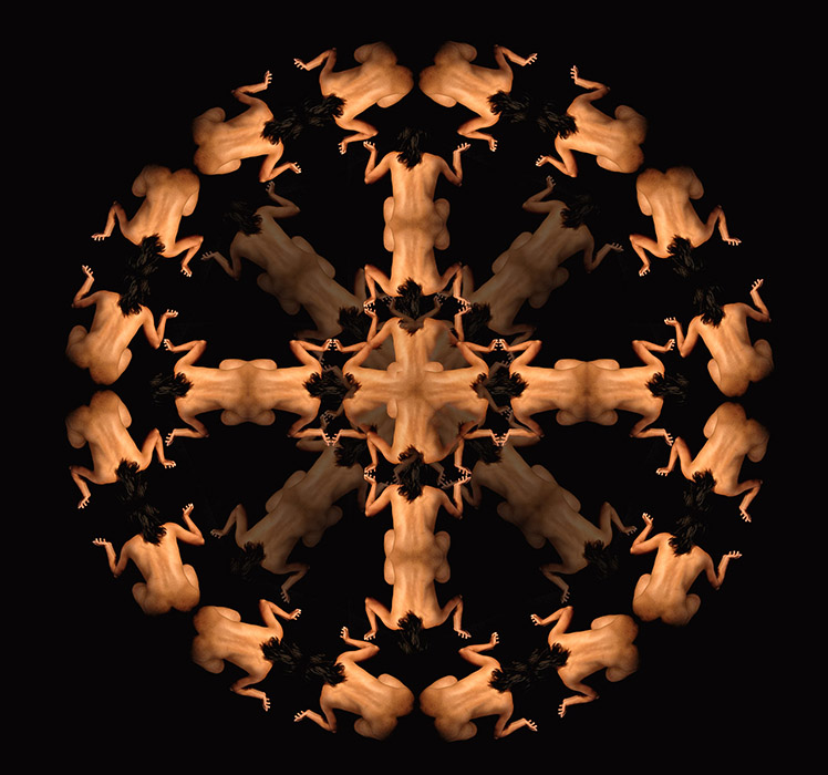 Human-Geometries