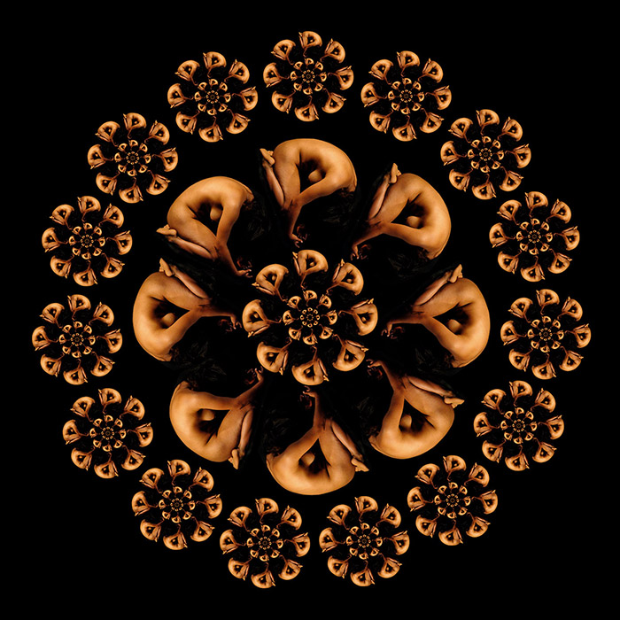 Human-Geometries
